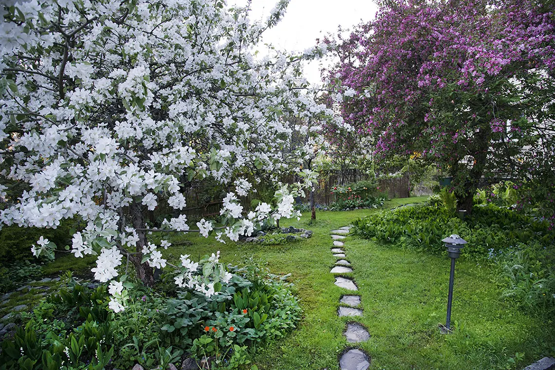 Tanssi- ja liiketerapia